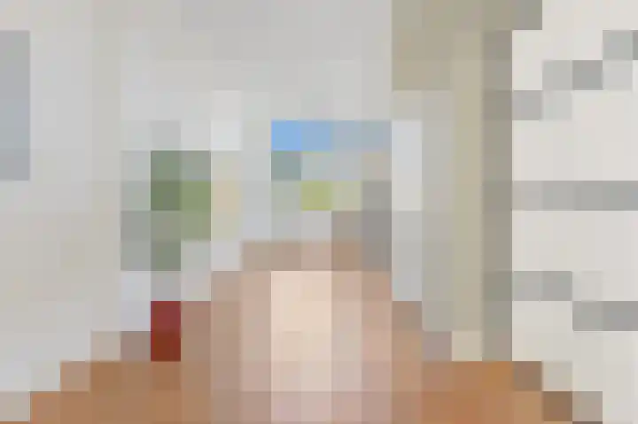 Van Alkemadelaan 2 Den Haag thumbnail 30
