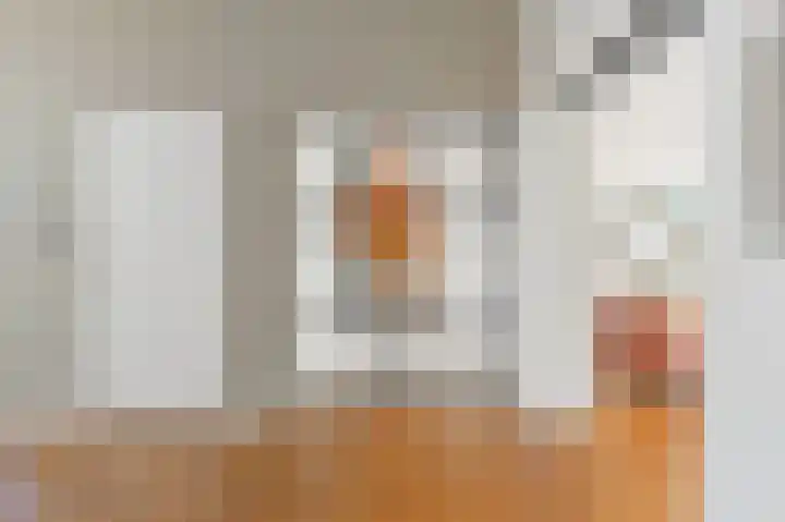 Van Alkemadelaan 2 Den Haag thumbnail 31
