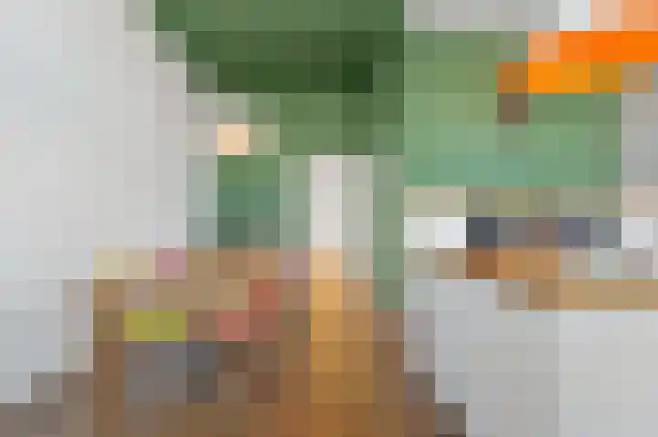 Van Alkemadelaan 2 Den Haag thumbnail 33