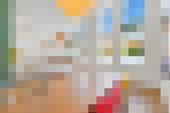 Van Alkemadelaan 2 Den Haag thumbnail 34