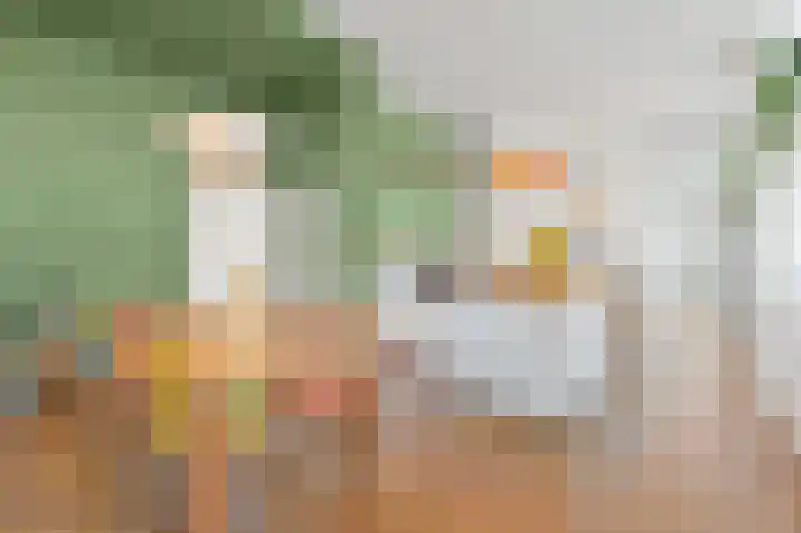 Van Alkemadelaan 2 Den Haag thumbnail 36