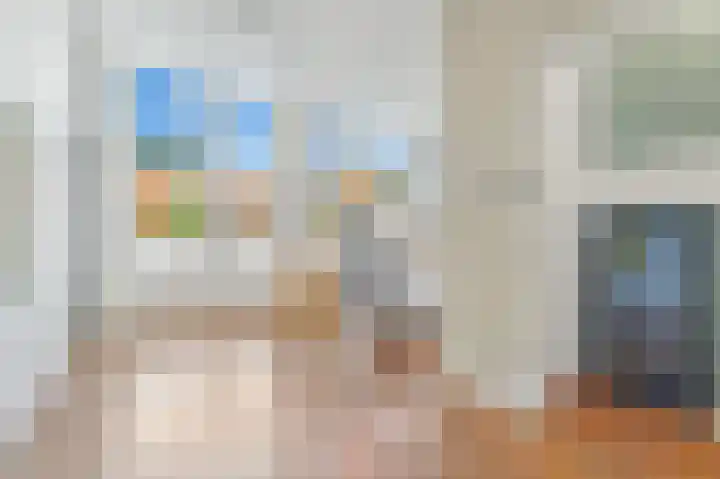 Van Alkemadelaan 2 Den Haag thumbnail 37