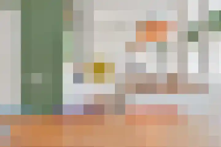 Van Alkemadelaan 2 Den Haag thumbnail 38