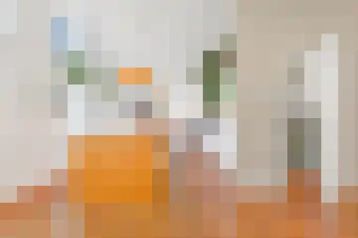 Van Alkemadelaan 2 Den Haag thumbnail 39