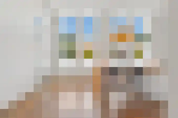 Van Alkemadelaan 2 Den Haag thumbnail 42