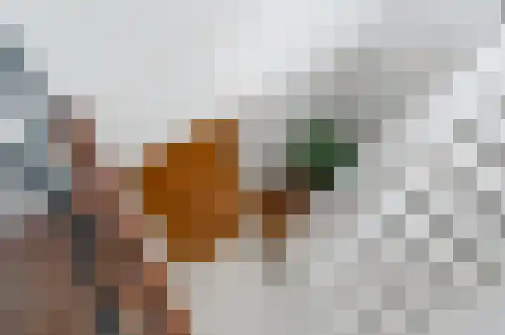 Van Alkemadelaan 2 Den Haag thumbnail 45