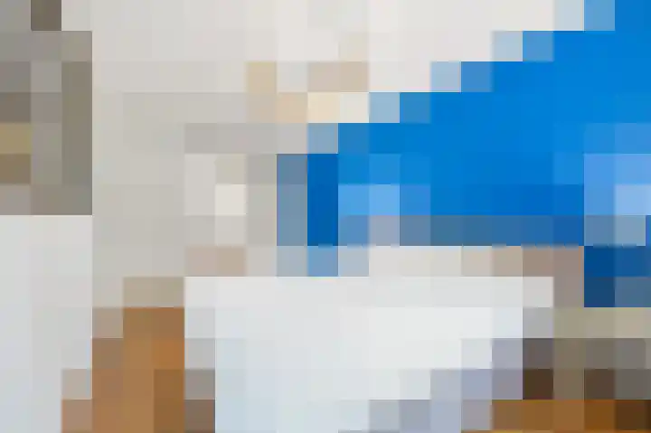Van Alkemadelaan 2 Den Haag thumbnail 48