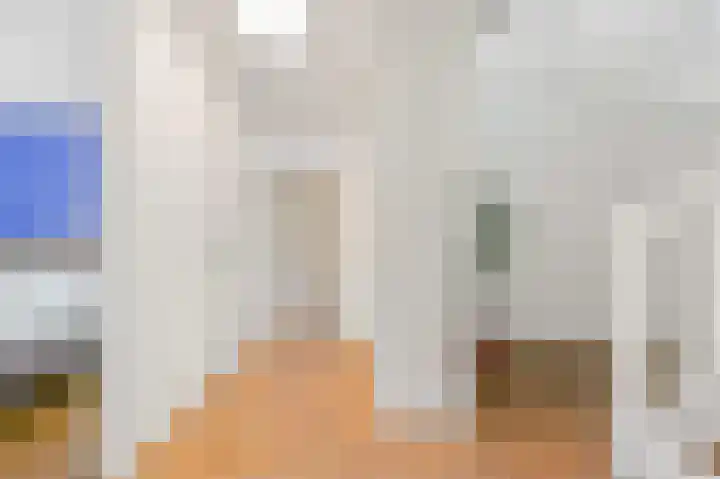 Van Alkemadelaan 2 Den Haag thumbnail 52
