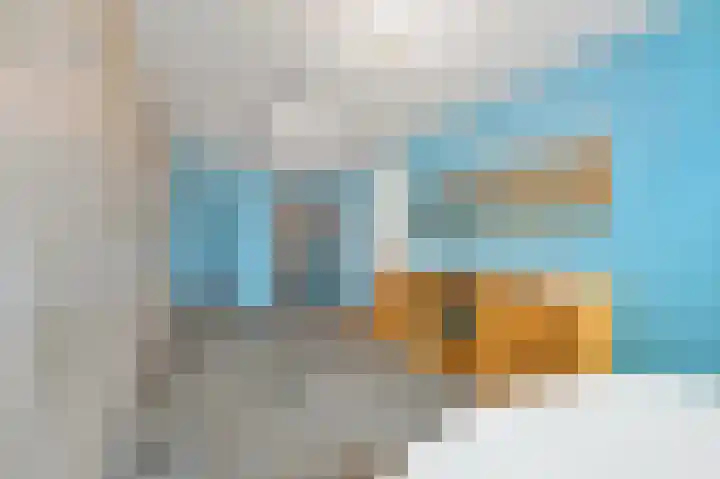 Van Alkemadelaan 2 Den Haag thumbnail 53
