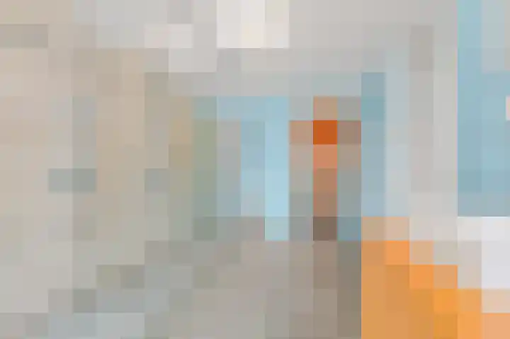 Van Alkemadelaan 2 Den Haag thumbnail 55