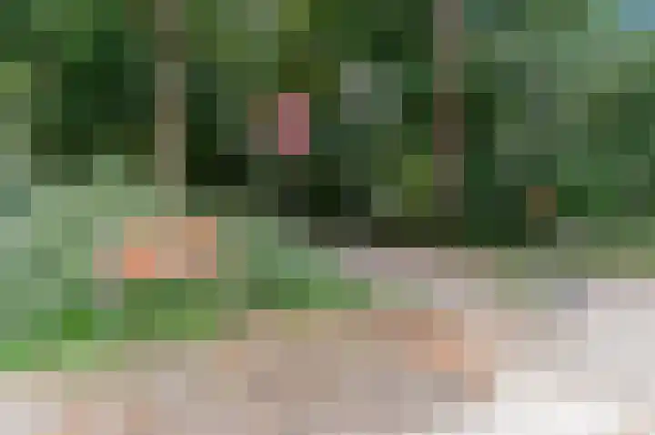 Van Alkemadelaan 2 Den Haag thumbnail 68