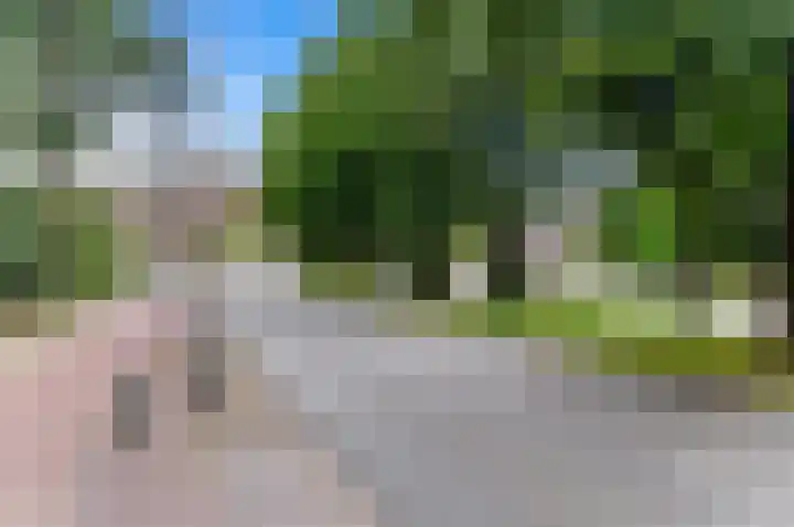 Van Alkemadelaan 2 Den Haag thumbnail 69