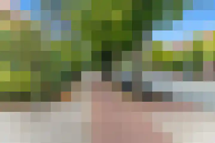 Van Alkemadelaan 2 Den Haag thumbnail 70
