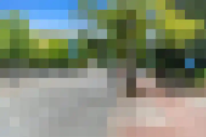 Van Alkemadelaan 2 Den Haag thumbnail 71