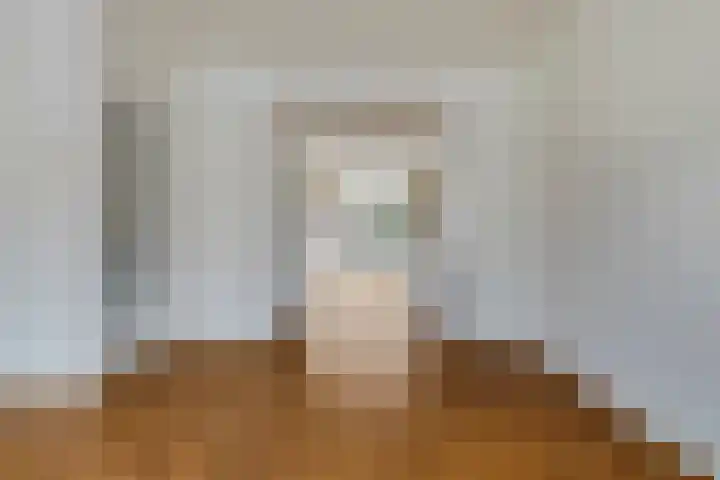 Van Alkemadelaan 207 Den Haag thumbnail 10