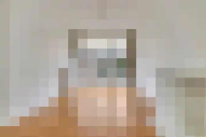 Van Alkemadelaan 207 Den Haag thumbnail 12