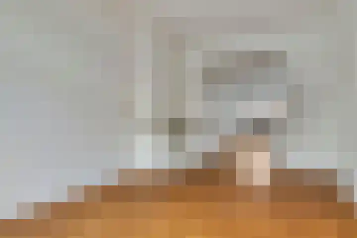 Van Alkemadelaan 207 Den Haag thumbnail 13