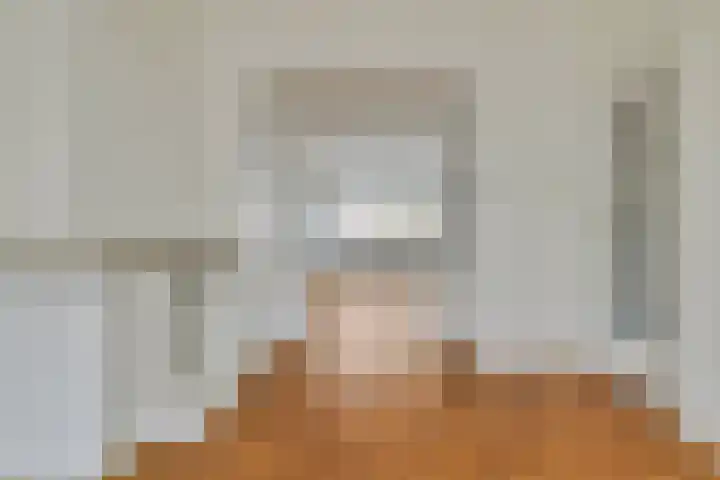 Van Alkemadelaan 207 Den Haag thumbnail 14