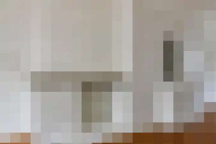 Van Alkemadelaan 207 Den Haag thumbnail 15