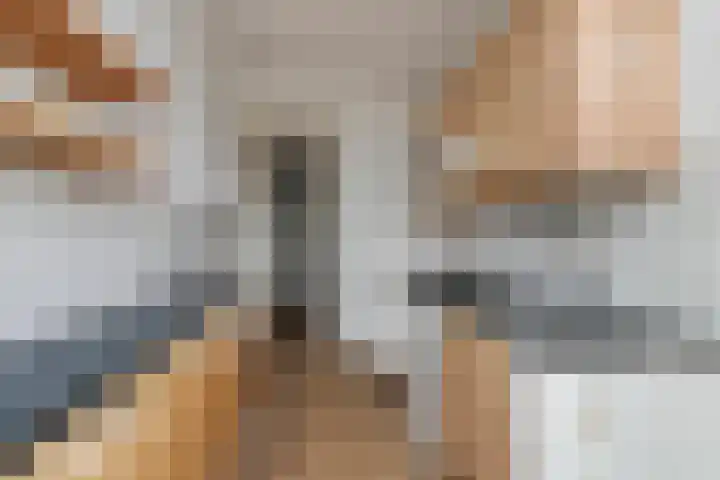 Van Alkemadelaan 207 Den Haag thumbnail 18