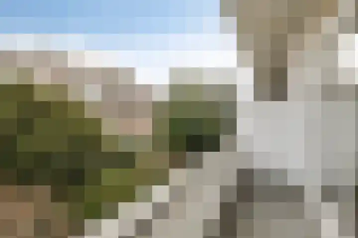 Van Alkemadelaan 207 Den Haag thumbnail 19