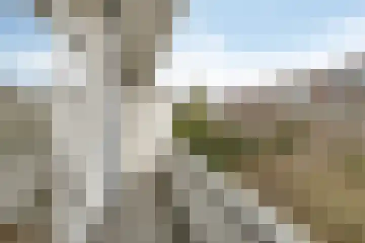 Van Alkemadelaan 207 Den Haag thumbnail 20