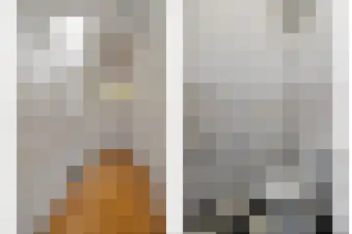 Van Alkemadelaan 207 Den Haag thumbnail 22