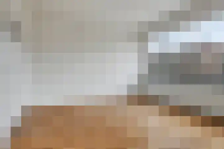 Van Alkemadelaan 207 Den Haag thumbnail 26