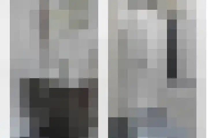 Van Alkemadelaan 207 Den Haag thumbnail 30