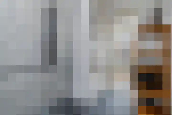 Van Alkemadelaan 207 Den Haag thumbnail 31