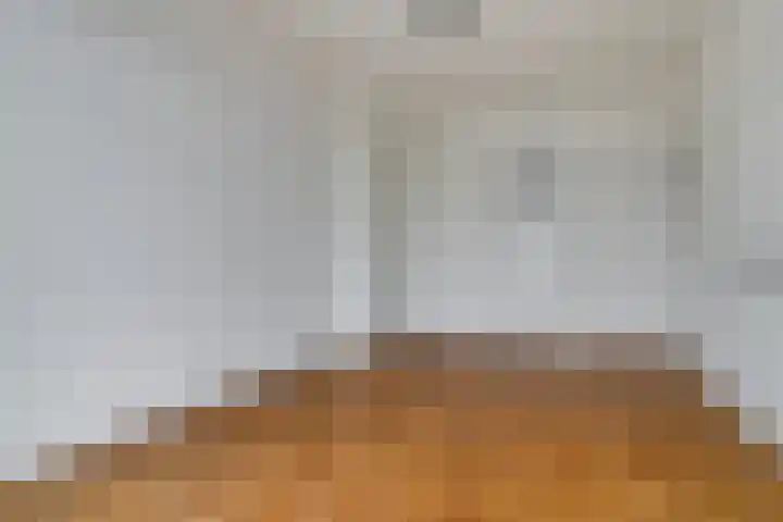 Van Alkemadelaan 207 Den Haag thumbnail 33