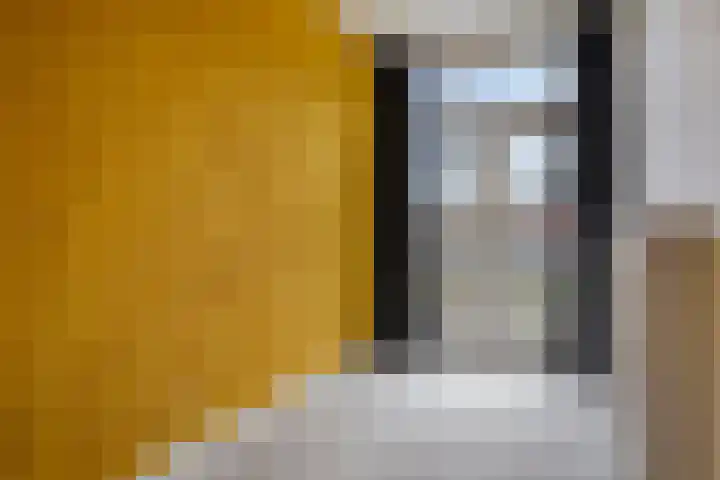 Van Alkemadelaan 207 Den Haag thumbnail 34