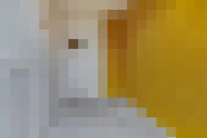 Van Alkemadelaan 207 Den Haag thumbnail 35
