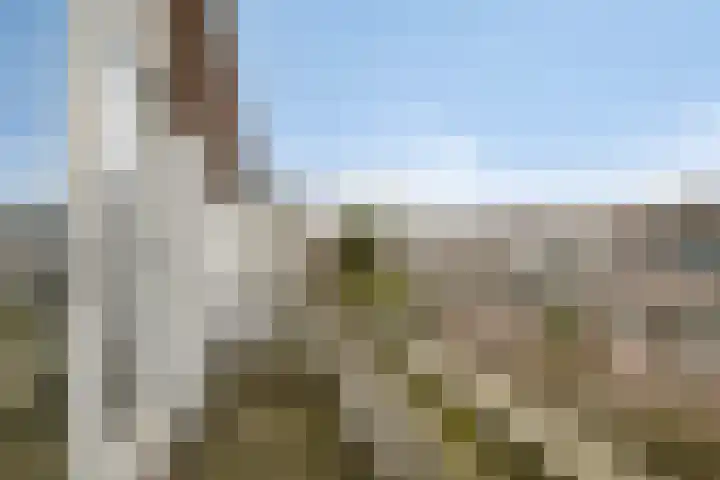 Van Alkemadelaan 207 Den Haag thumbnail 36