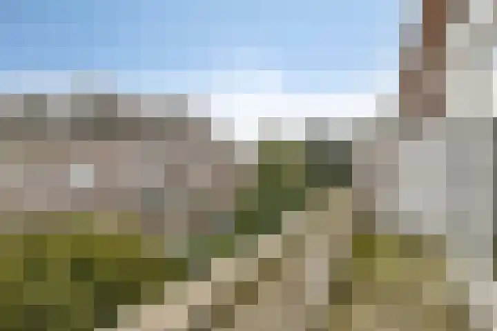 Van Alkemadelaan 207 Den Haag thumbnail 37