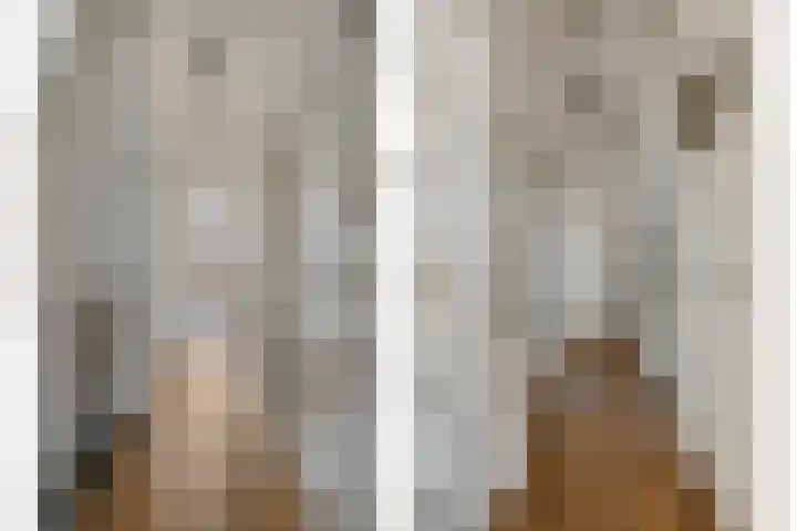 Van Alkemadelaan 207 Den Haag thumbnail 4