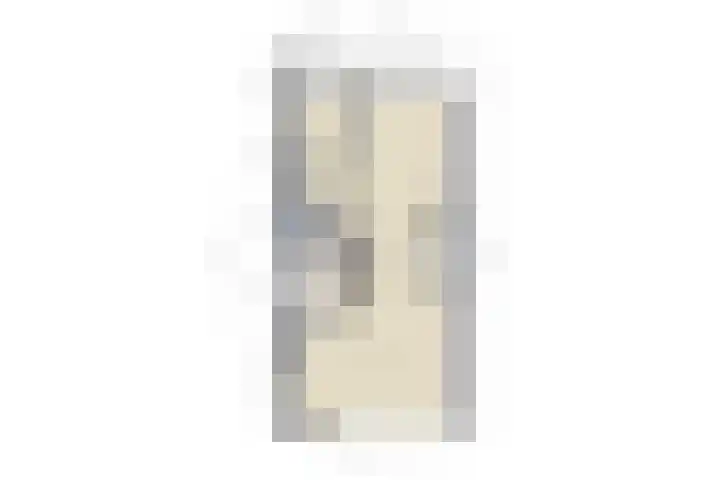 Van Alkemadelaan 207 Den Haag thumbnail 41