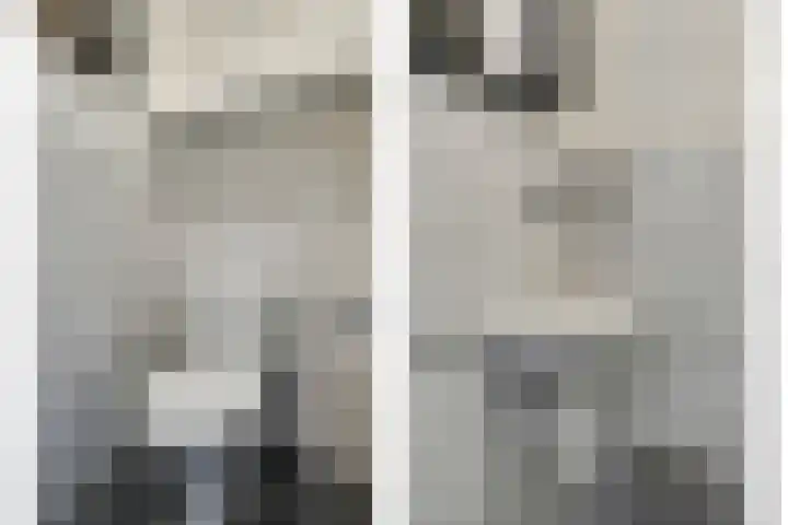 Van Alkemadelaan 207 Den Haag thumbnail 5