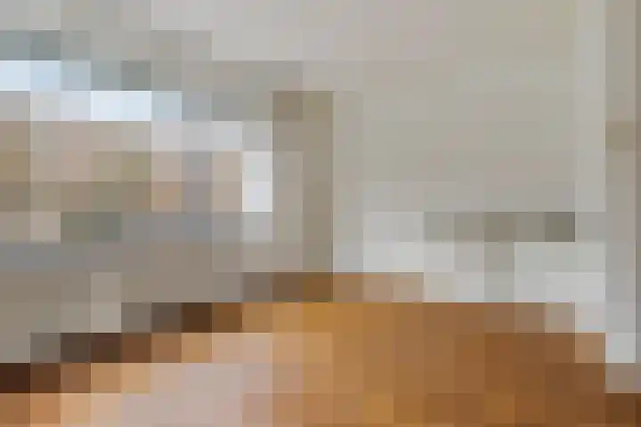 Van Alkemadelaan 207 Den Haag thumbnail 8