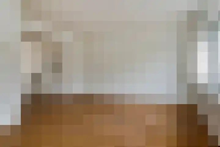 Van Alkemadelaan 207 Den Haag thumbnail 9