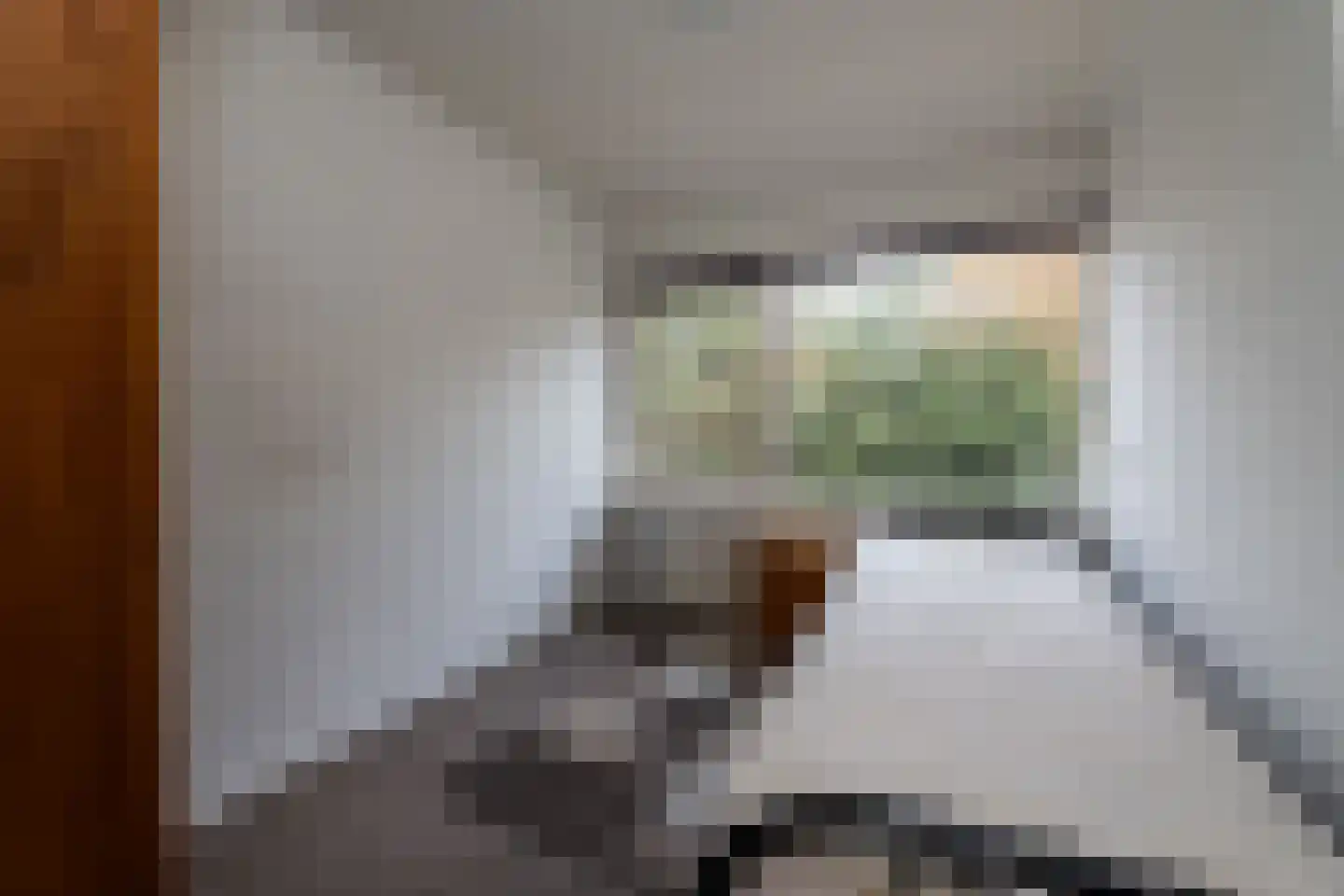 van Alkemadelaan 25 Brielle thumbnail 12
