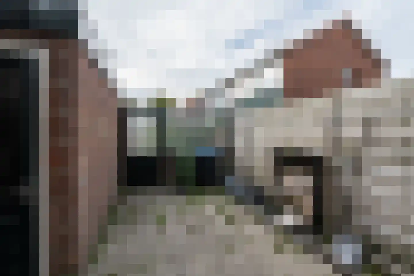 van Alkemadelaan 25 Brielle thumbnail 5