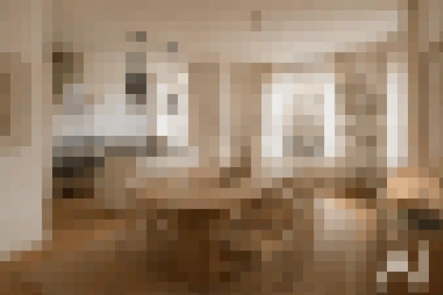Van Alkemadelaan 257 Den Haag thumbnail 10