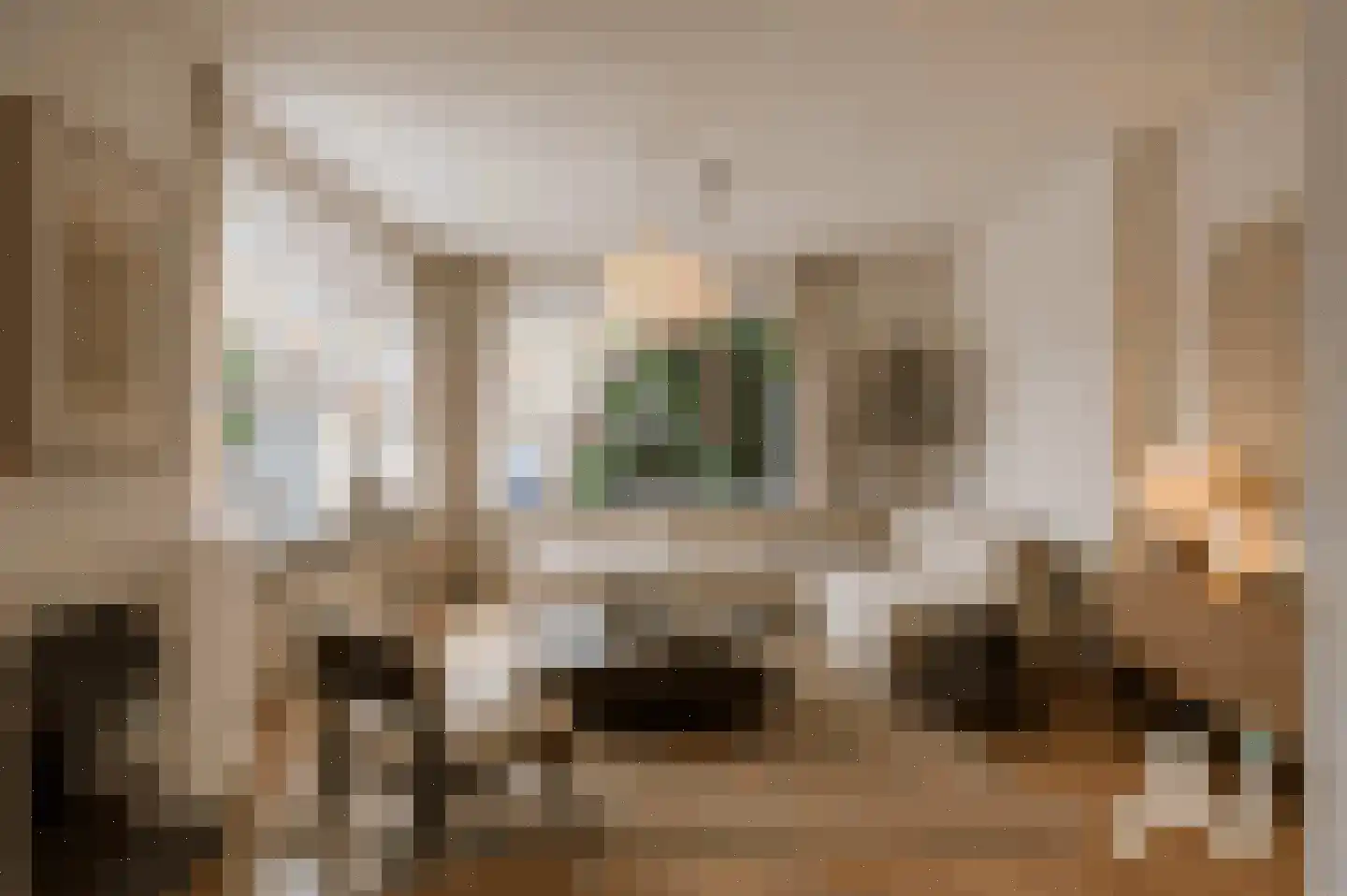 Van Alkemadelaan 257 Den Haag thumbnail 16