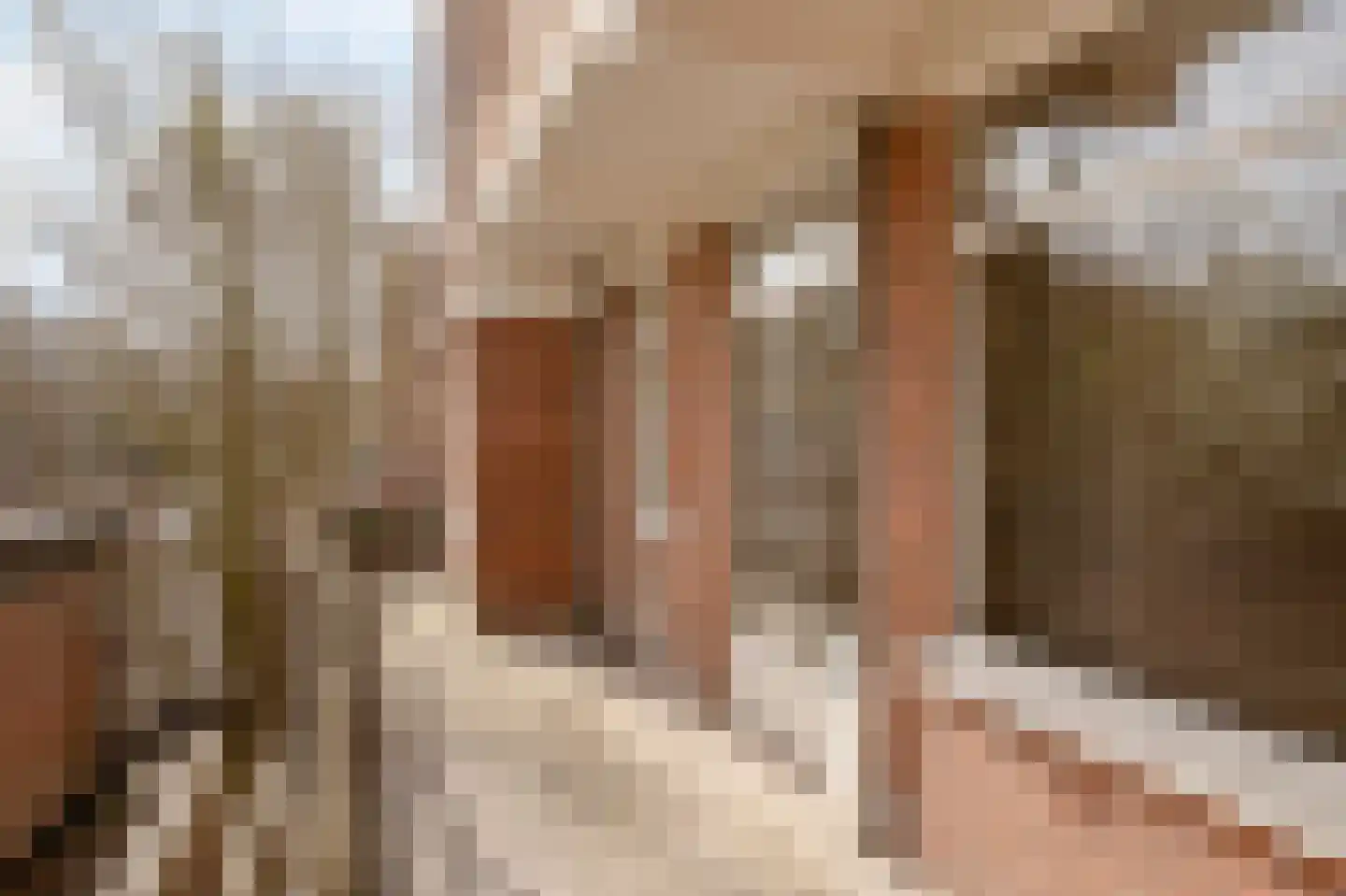 Van Alkemadelaan 257 Den Haag thumbnail 36