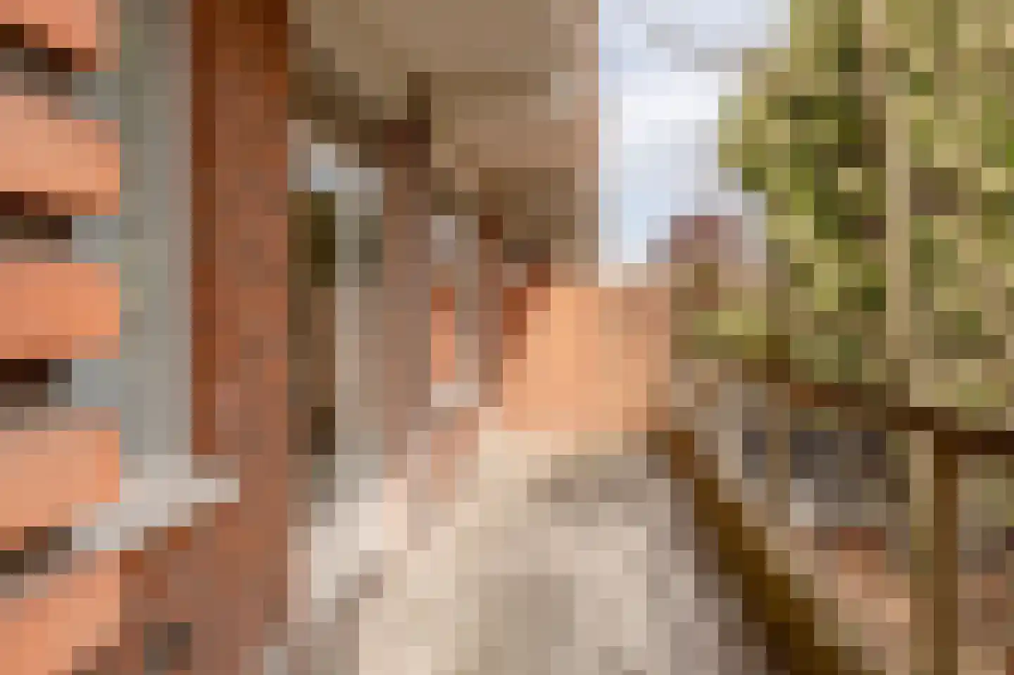 Van Alkemadelaan 257 Den Haag thumbnail 37