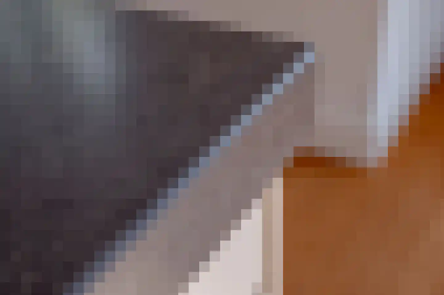 Van Alkemadelaan 257 Den Haag thumbnail 7