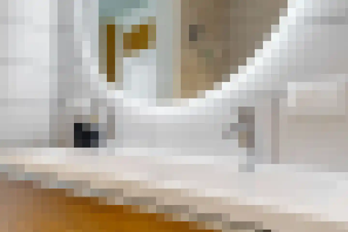 Van Alkemadelaan 303 Den Haag thumbnail 17