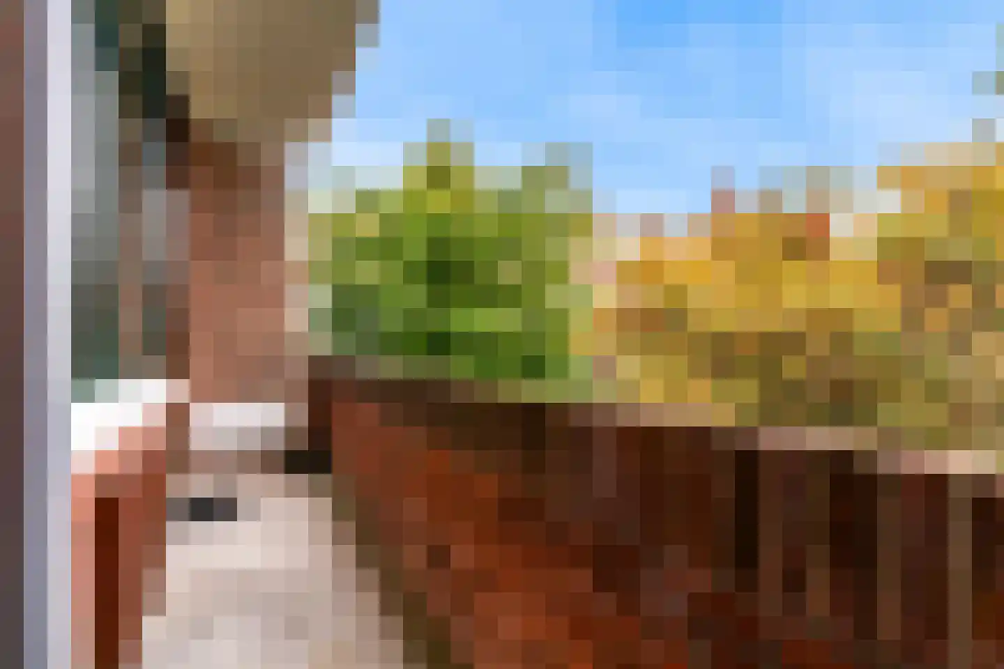Van Alkemadelaan 303 Den Haag thumbnail 4