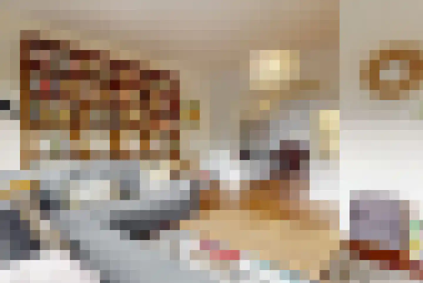 Van Alkemadelaan 303 Den Haag thumbnail 5